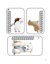 Load image into Gallery viewer, YouTube Video Companion Materials – Complete Monthly Bundle